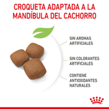 SHN GIANT JUNIOR - CROQUETA.png